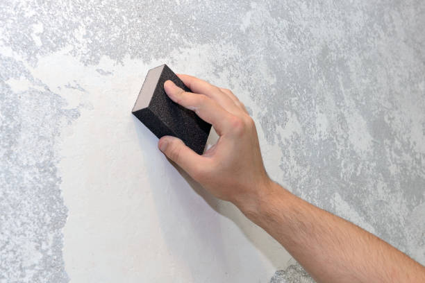 Forensic Mold Investigation in Point Mackenzie, AK