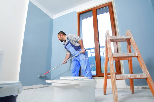 Best Mold Odor Removal Services  in Point Mackenzie, AK