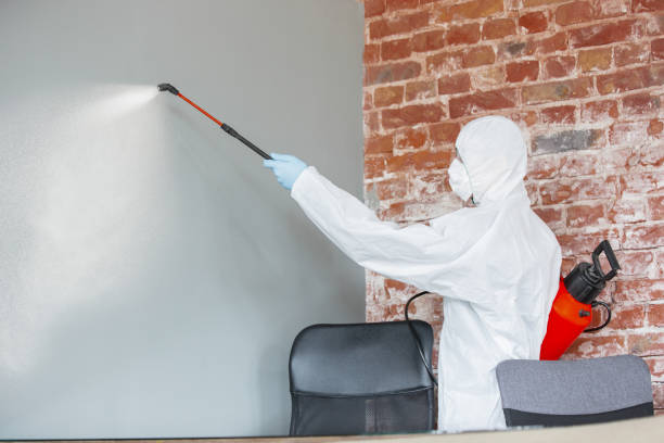 Best Post-Remediation Verification Testing  in Point Mackenzie, AK