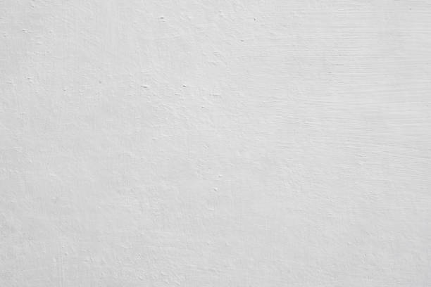  Point Mackenzie, AK Mold Removal Pros