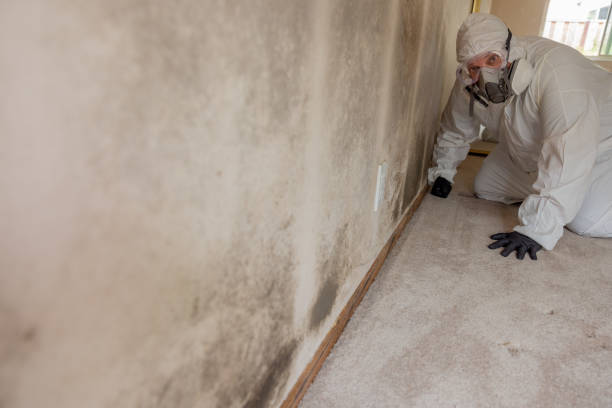 Dehumidification Services in Point Mackenzie, AK