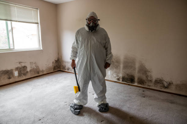 Professional Mold Removal in Point Mackenzie, AK