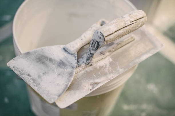 Best Residential Mold Inspection & Testing  in Point Mackenzie, AK