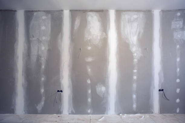 Best Basement Mold Removal  in Point Mackenzie, AK